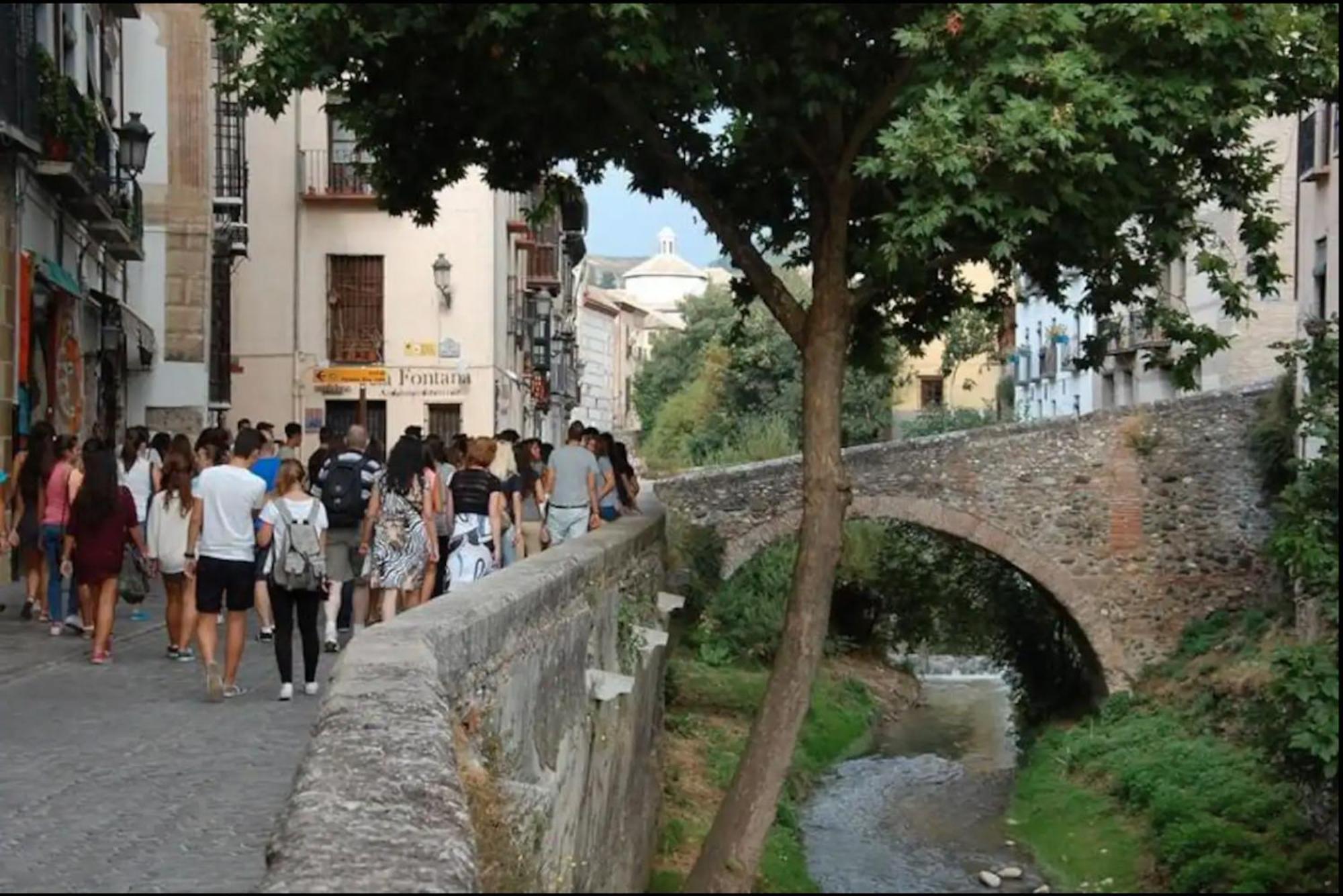 Apartamentos Centro Historico A Los Pies De La Alhambra Granada Buitenkant foto